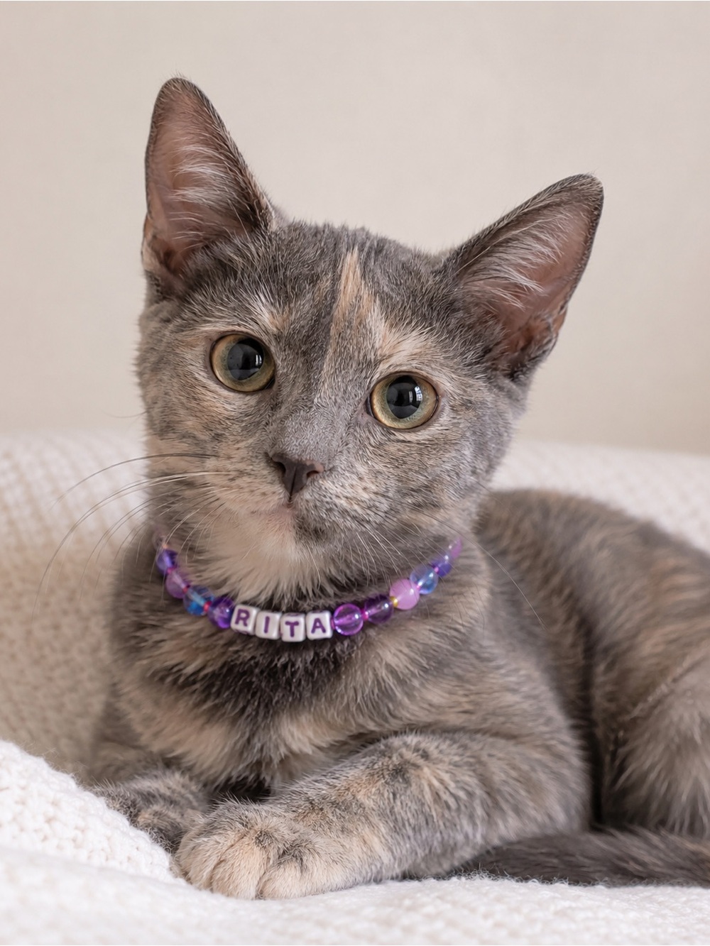Rita Purple Beaded Stretch Cat Collar 9”